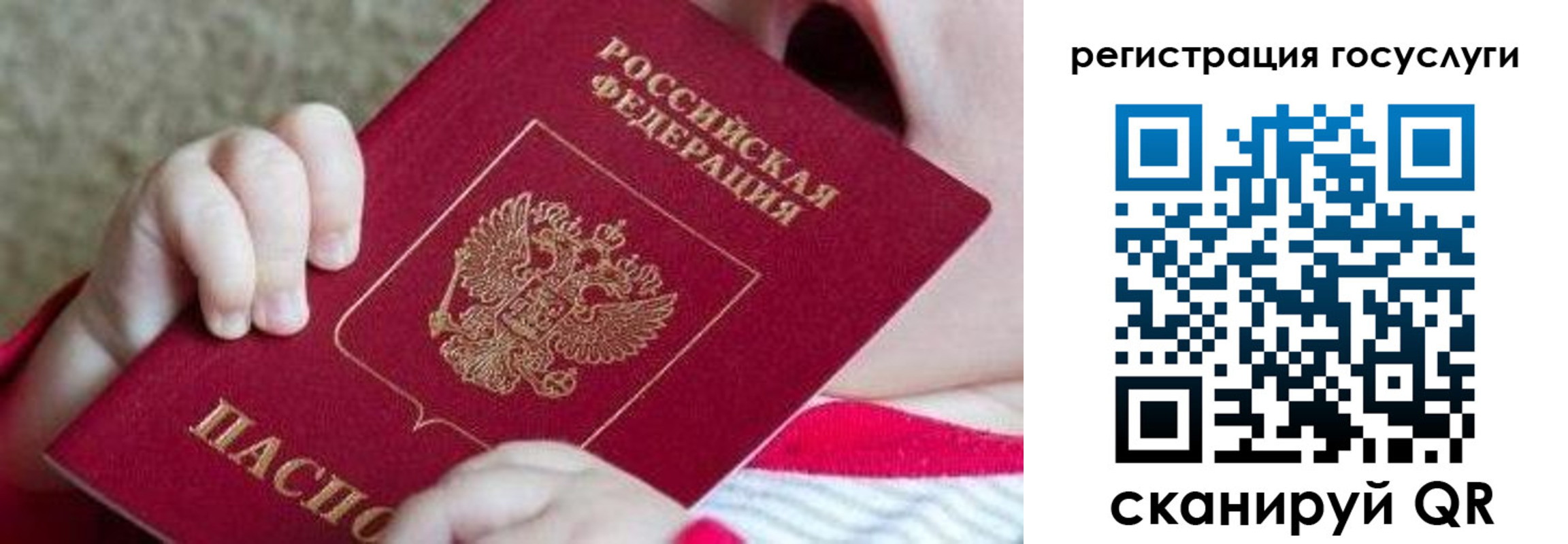 регистрация для школы в Чудово